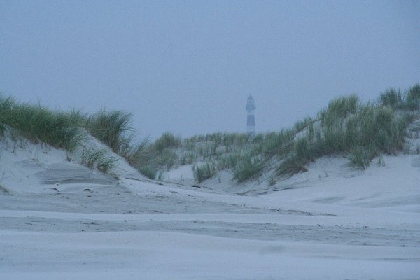 IMG_0164
