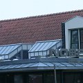 IMG_0148