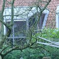 IMG_0149