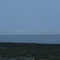 IMG_0154