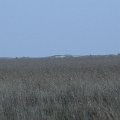 IMG_0157