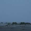 IMG_0158