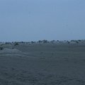 IMG_0159