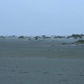 IMG_0160