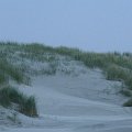 IMG_0163