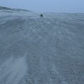 IMG_0167