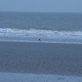 IMG_0169