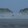 IMG_0170