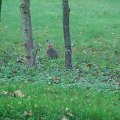 IMG_0183