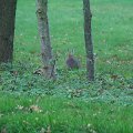 IMG_0184