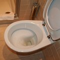 IMG_0194